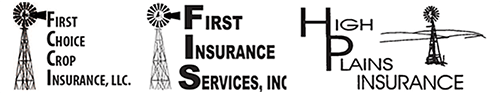 First Insurance Services, Inc.